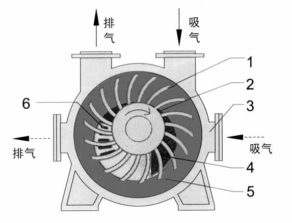 2BE1水环式心博(中国)结构图